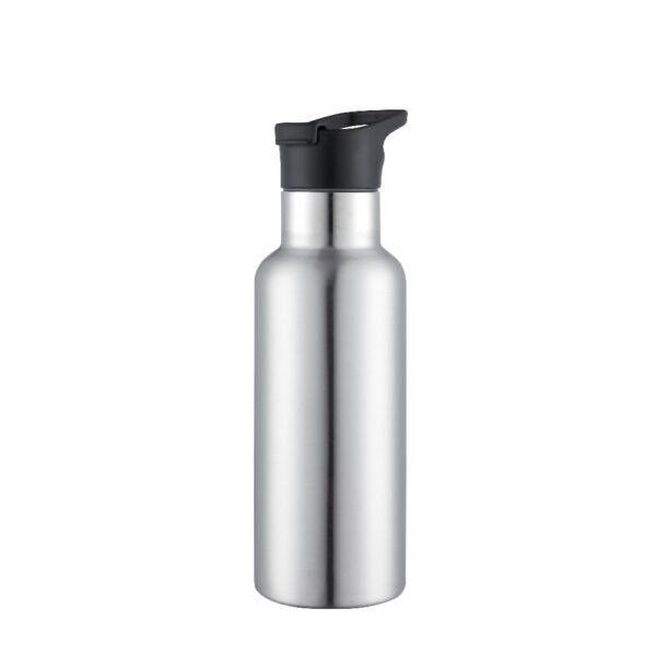 Insulated water bottle SDV0102