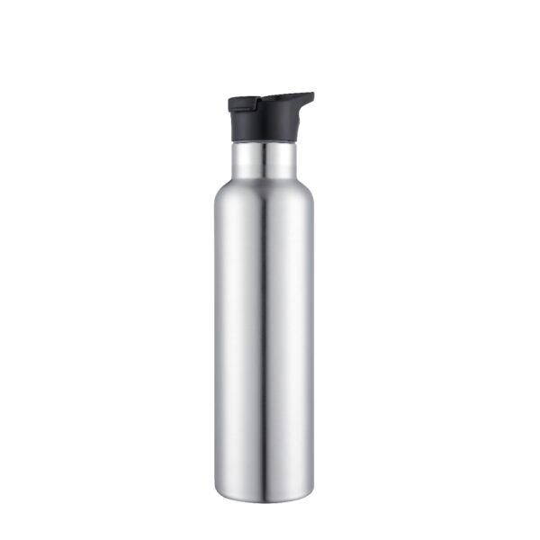 insulated water bottle SDV0104