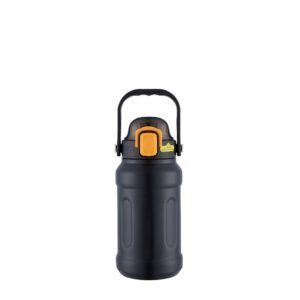 Insulated water bottle SDV0251