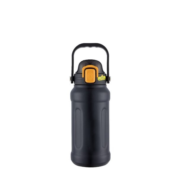 Insulated water bottle SDV0252