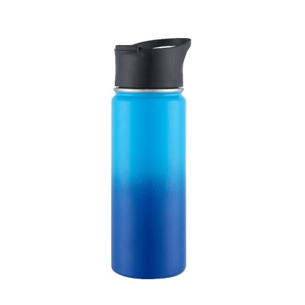 Insulated water bottle SDV0291
