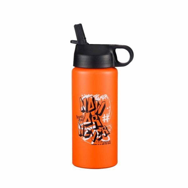 Aluminum sport bottle AS0231
