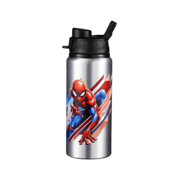 Aluminum sport bottle AS0301