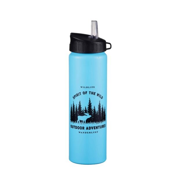 Aluminum sport bottle AS0311