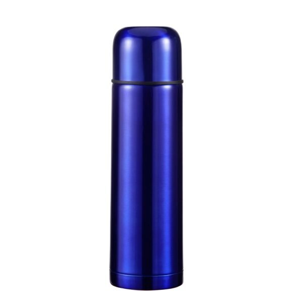 Stainless steel insulated double walls bottle SDV0412