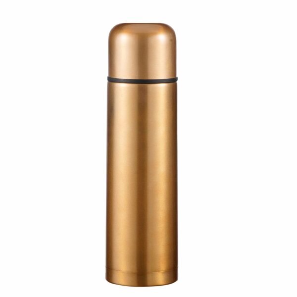 Stainless steel insulated double walls bottle SDV0414