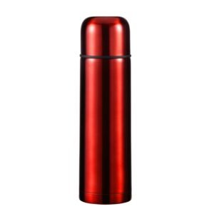 Stainless steel insulated double walls bottle SDV0417