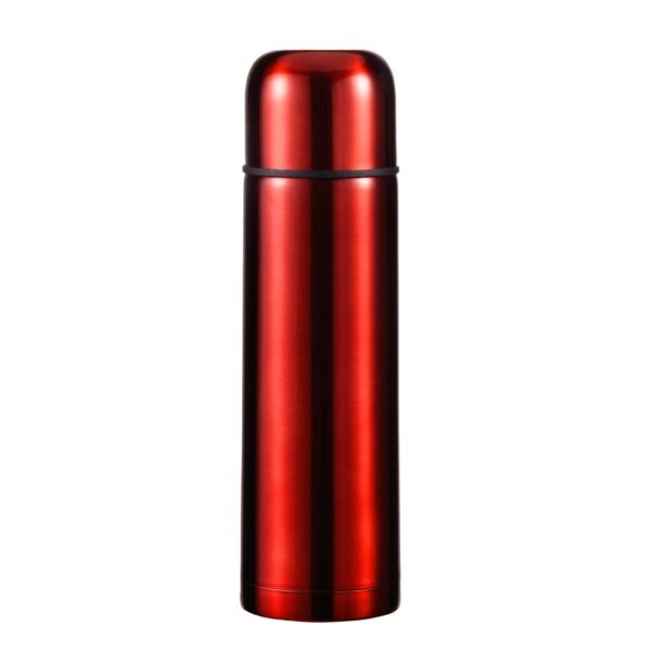 Stainless steel insulated double walls bottle SDV0417