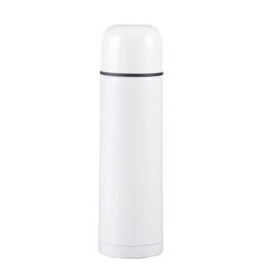 Stainless steel insulated double walls bottle SDV0419