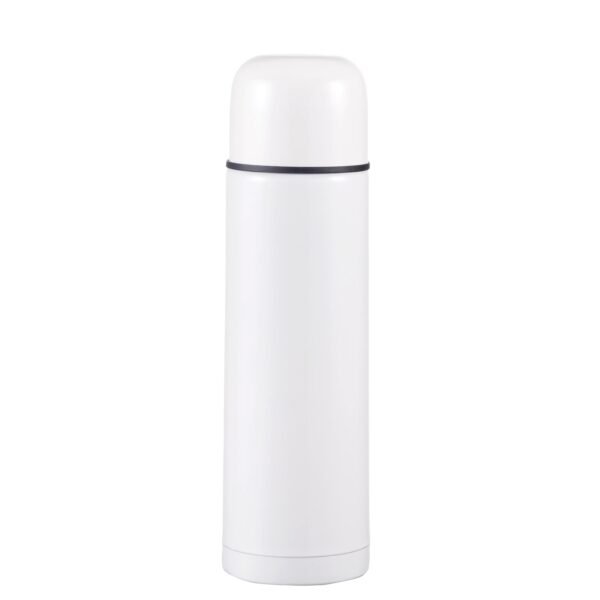 Stainless steel insulated double walls bottle SDV0419