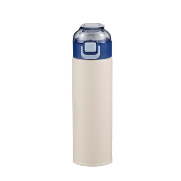 Stainless steel insulated double walls bottle SDV0451
