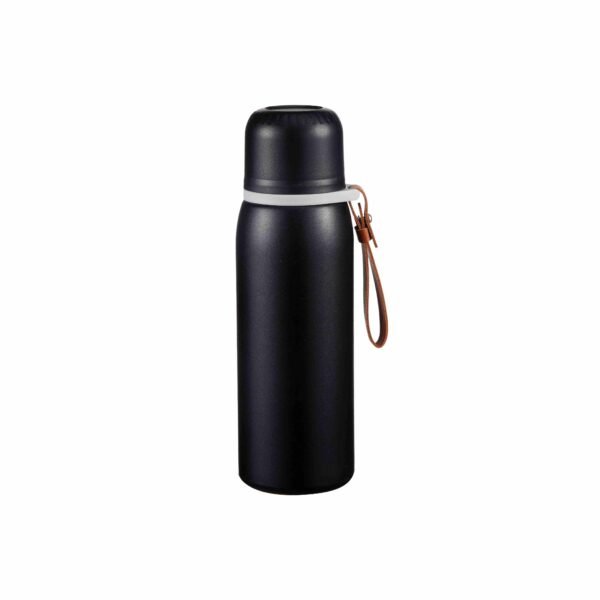Stainless steel insulated double walls bottle SDV0481
