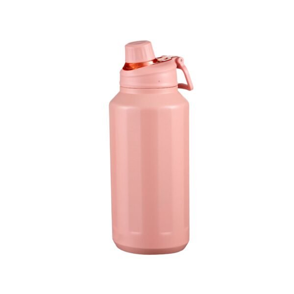 Stainless steel insulated double walls bottle SDV0491
