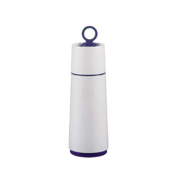 Stainless steel Insulated double walls bottle SDV0621