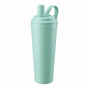 insulated water bottle SDV0691